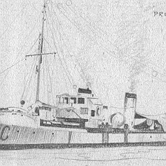 1921 - 'Procione'